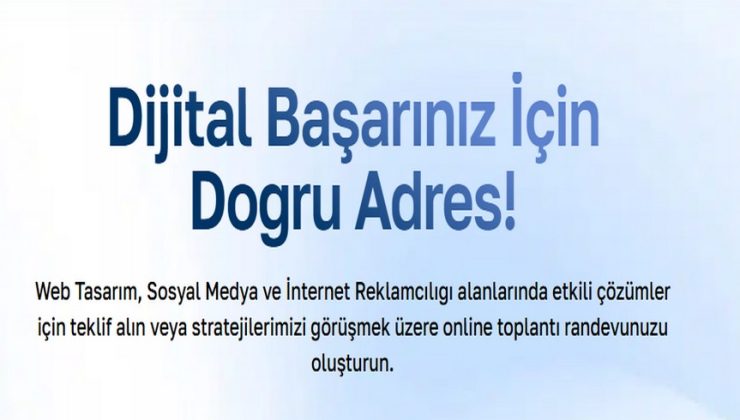Bodrum Web Tasarım