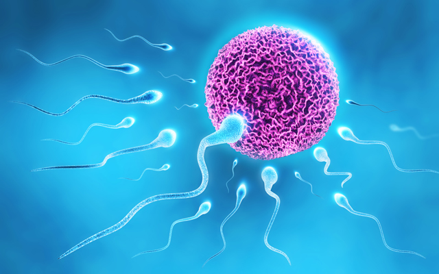 Spermin faydaları ve cilde iyi gelir mi?